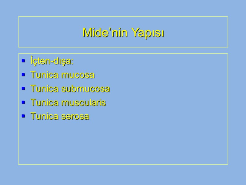 Mide’nin Yapısı İçten-dışa: Tunica mucosa Tunica submucosa Tunica muscularis Tunica serosa